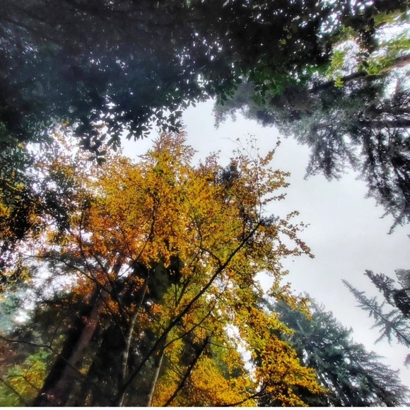 Heather's Loft - Picture 3 of 15